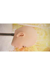 【中古】【O中古超美品】Bezlya Doll #G硬質シリコンヘッド単品 (150〜160cm推奨)
