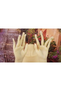 【中古】AXB Doll #TC31Rヘッド 130cm バスト大