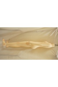 【中古】【O初心者応援パック 新古超美品ホール未使用品】Aotume Doll #カスタムシリコンヘッド135cm AAカップ ゼロバックスラスト膣OP(細身タイプ) 【フルシリコン製】【オプション多数】