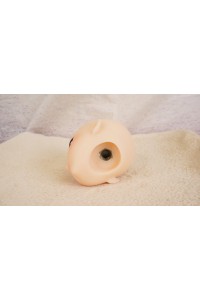 【O国内検品済 新品未使用即納品】 Butterfly Doll #Shiori Dヘッド単品 (80cm推奨)