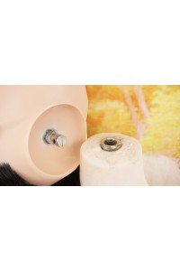 【中古】【初心者応援パック 中古美品】SHEDOLL #城之内 真弓硬質シリコンヘッド 職人メイク 髪の毛の植毛OP 158cm Cカップ【CR超ソフト】