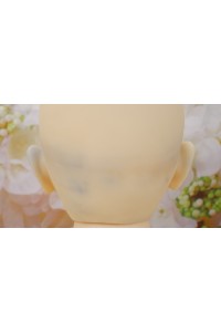 【美品】Real Girl (A工場製) #R26ヘッド 視点移動 TPEヘッド単品 肌色 ナチュラル