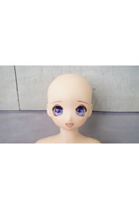 【中古美品 ホール未使用品】minidoll #S1ヘッド 53cm 普通乳