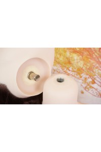 【O初心者応援パック 国内検品済 新品未使用即納品】YearnDoll # Y1硬めシリコンヘッド 163cm Eカップ フルシリコンラブドール 【進化版-リアル皮膚メイク付き】