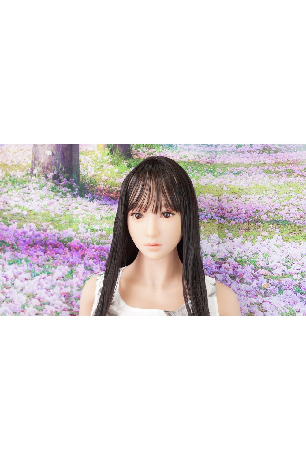 【初心者応援パック 中古美品】SEDOLL #79ヘッド158cm Dカップ