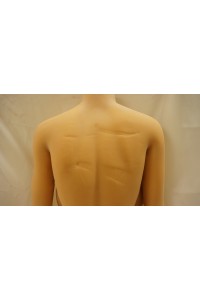 【中古】【初心者応援パック 中古】SM Doll #6 胜雅ヘッド 158cm Kカップ