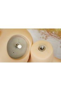 【中古】Real Girl (A工場製) #R28ヘッド157cm Cカップ 高級職人メイクOP ゼリー胸 指関節OP 視点移動 EVO新骨格 肌色 ナチュラル