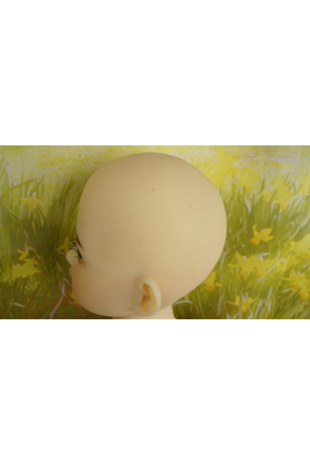 【中古】【中古超美品】AXB Doll #C46ヘッド 130cm バスト大