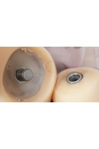 AXB Doll #83 140cmバスト大 中空胸 自立加工 視線移動 肌色 ナチュラル
