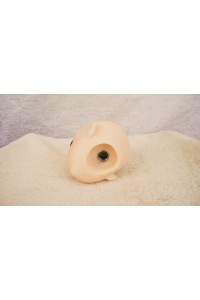 【O国内検品済 新品未使用即納品】 Butterfly Doll #Shiori Aヘッド単品 (80cm推奨)
