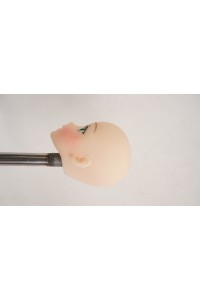 【O国内検品済 新品未使用即納品】 Butterfly Doll #Shiori Bヘッド単品 (80cm推奨)