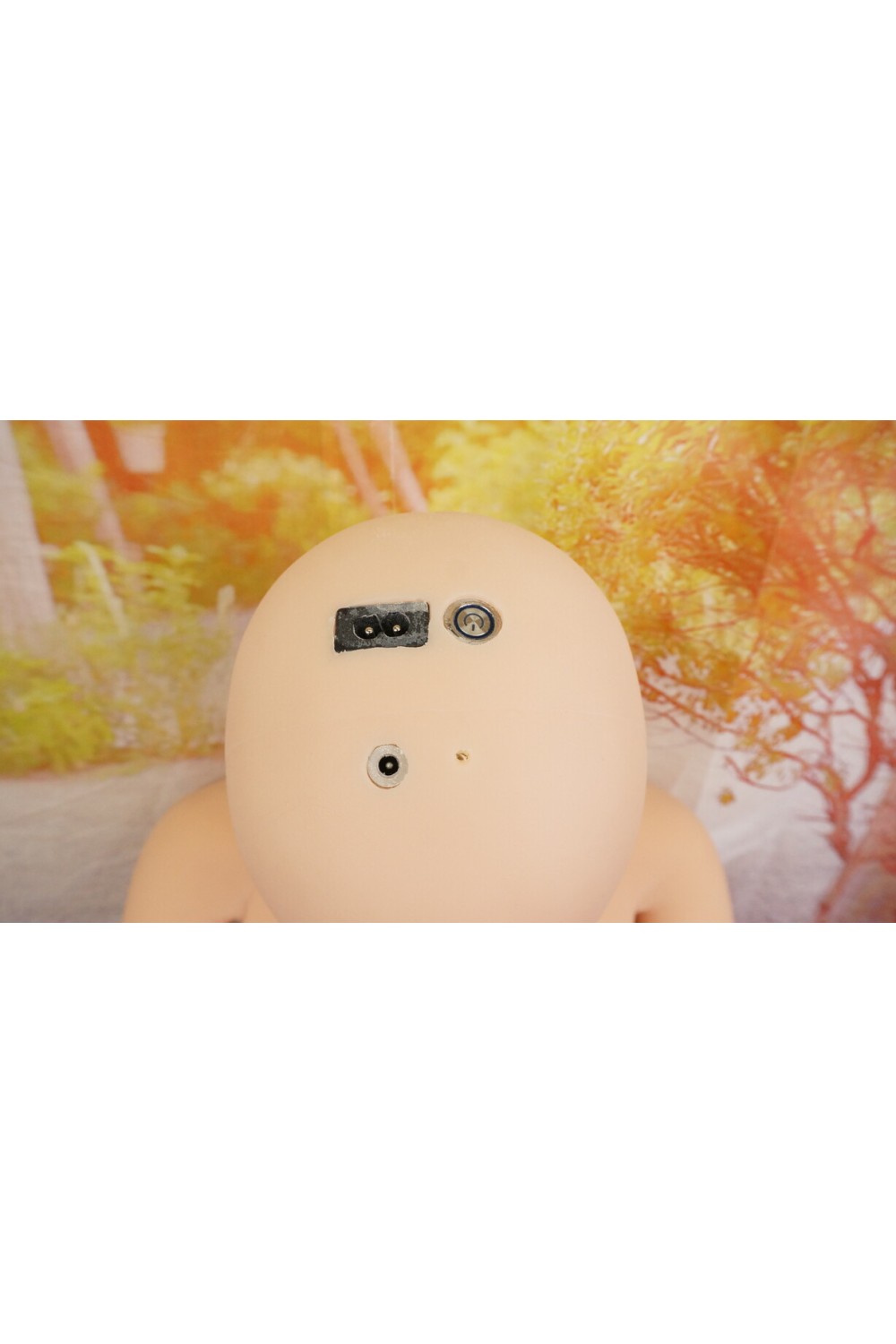 【中古】【初心者応援パック 新古超美品】 Top Sino Doll #T1ヘッド お口の開閉OP 90cm Fカップ シリコントルソー 音声加工OP 専門ソフト（Soft-pro） 【RSメイク】【オプション多数】