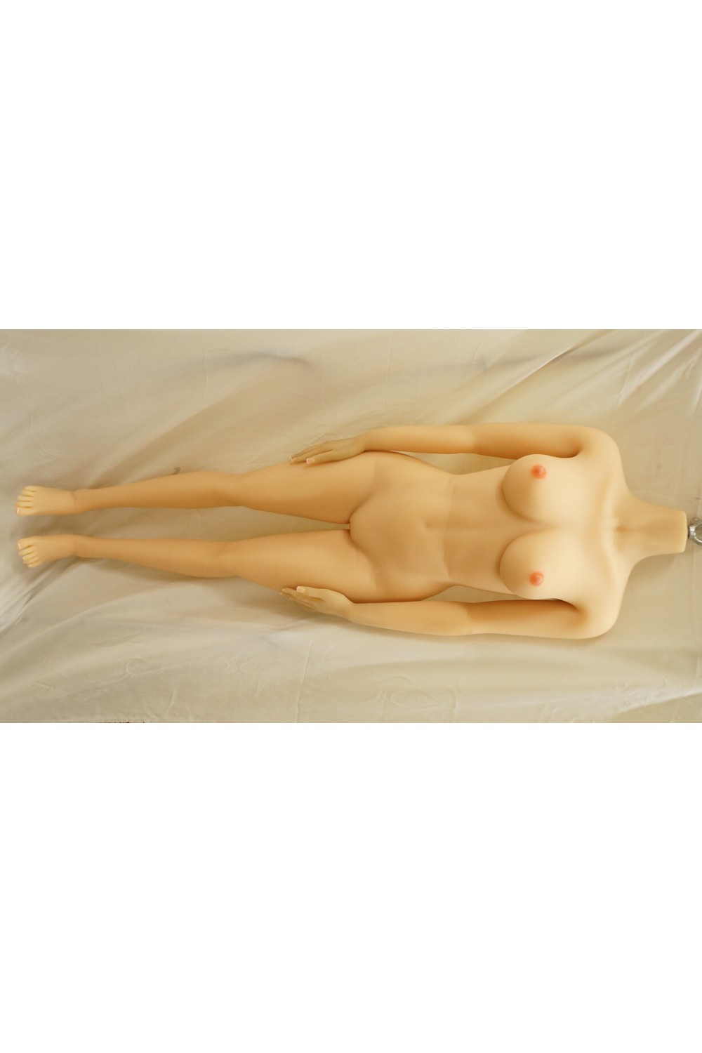【中古】【初心者応援パック 中古超美品】SEDOLL #76ヘッド 一体舌OP 158cm Dカップ 新骨格OP【オプション多数】