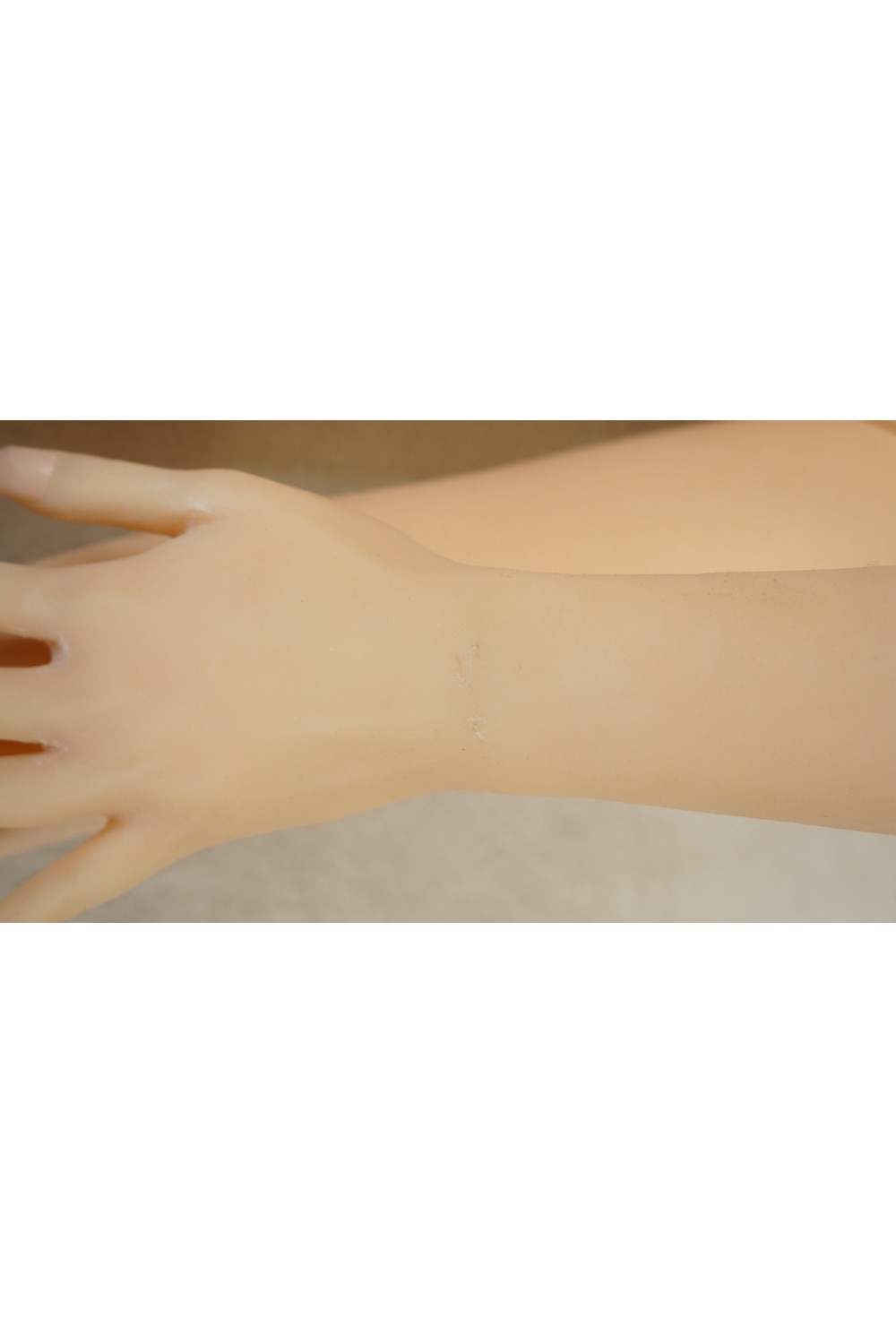 【中古】DollHouse168 #Sasaヘッド170cm (B工場製) ゼリー胸 EVO骨格OP 肌色 ナチュラル