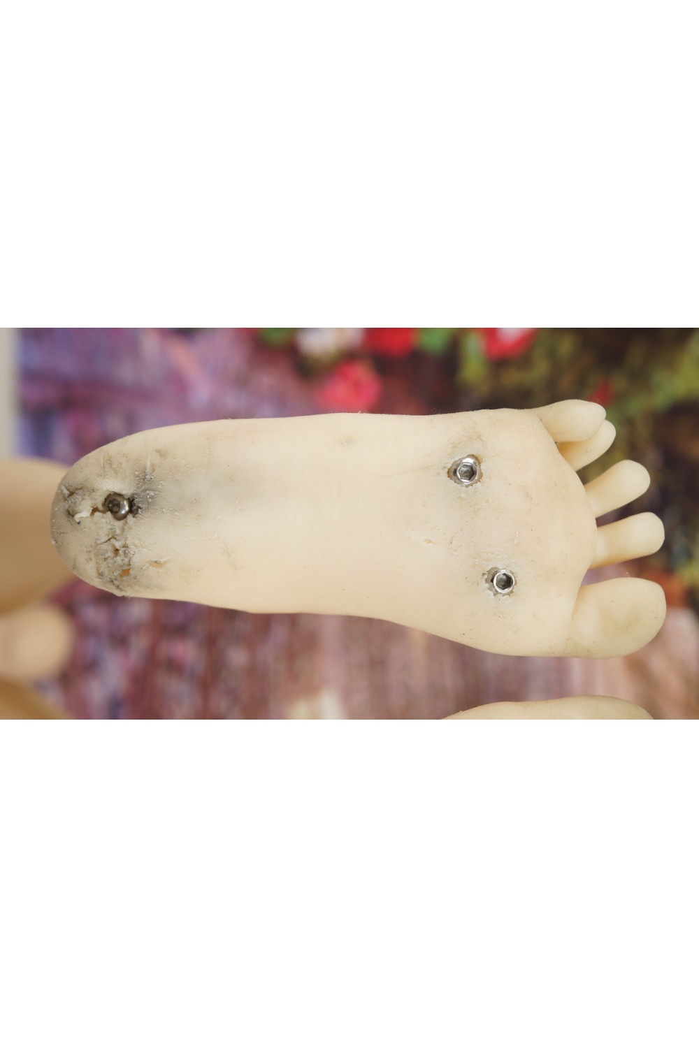 【中古】MOMODOLL#017-C 『瞳』ヘッド 138cm Aカップ 自立加工OP EVO骨格 肌色 自然