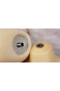 AXB Doll ＃A15+#A84 155cm バスト小 視線移動 新骨格 肌色 ホワイト