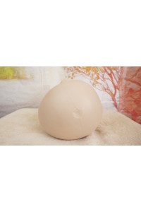 【O新品未使用即納品】catdoll #Ya シリコンヘッド単品(136〜146cm推奨)【RBリアルメイク版】