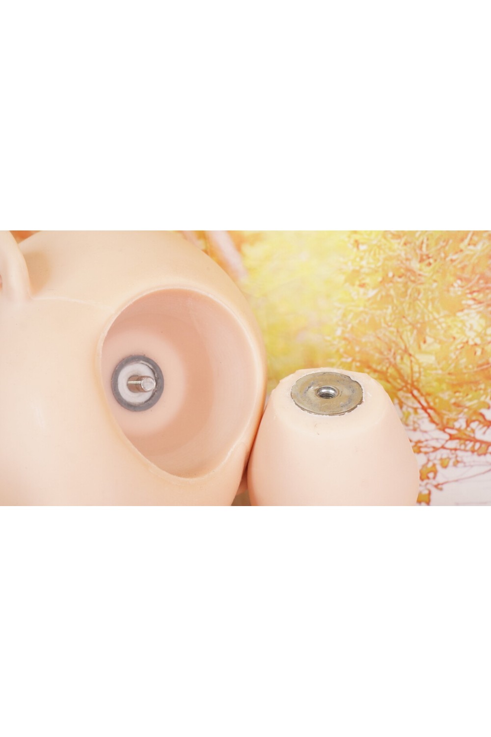 【中古】【初心者応援パック 中古超美品】Project LEVEL-D #彩苗 ヘッド 145cm