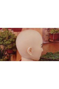 【初心者応援パック 中古美品】 Real Girl#レイナヘッド157cm Cカップ (A工場製)