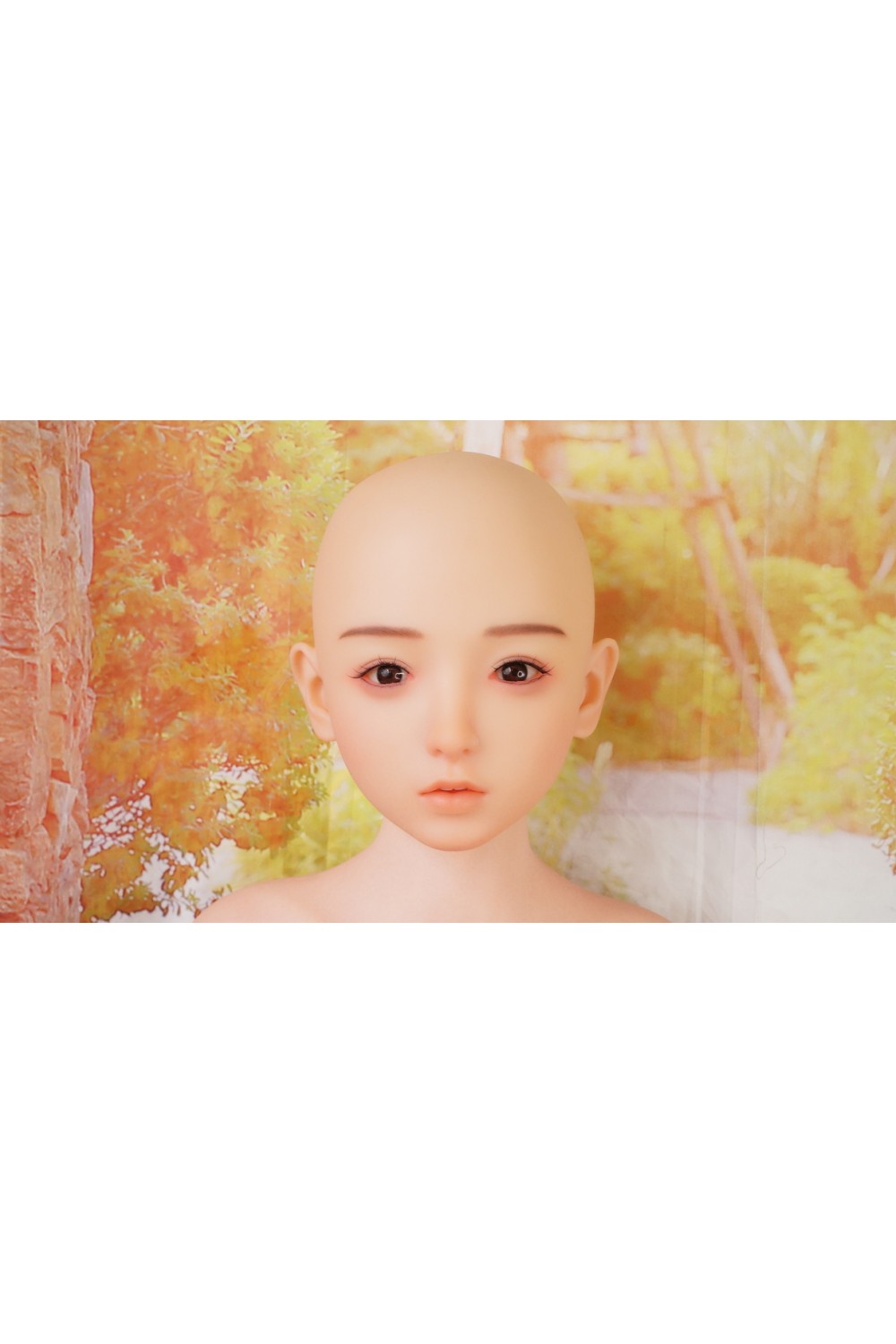 【初心者応援パック 新古超美品】アート技研(Art-doll) #M2硬質シリコンヘッド（模擬口腔+オーラル機能＋顎関節）無し(ほくろ無し) 148cm貧乳