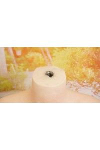 【中古】【中古美品】蛍火日記 164cm Ｇカップ ボディ超リアルメイク お尻の柔らか仕上げOP シリコンボディ単品【スーパーソフト版】【オプション多数】