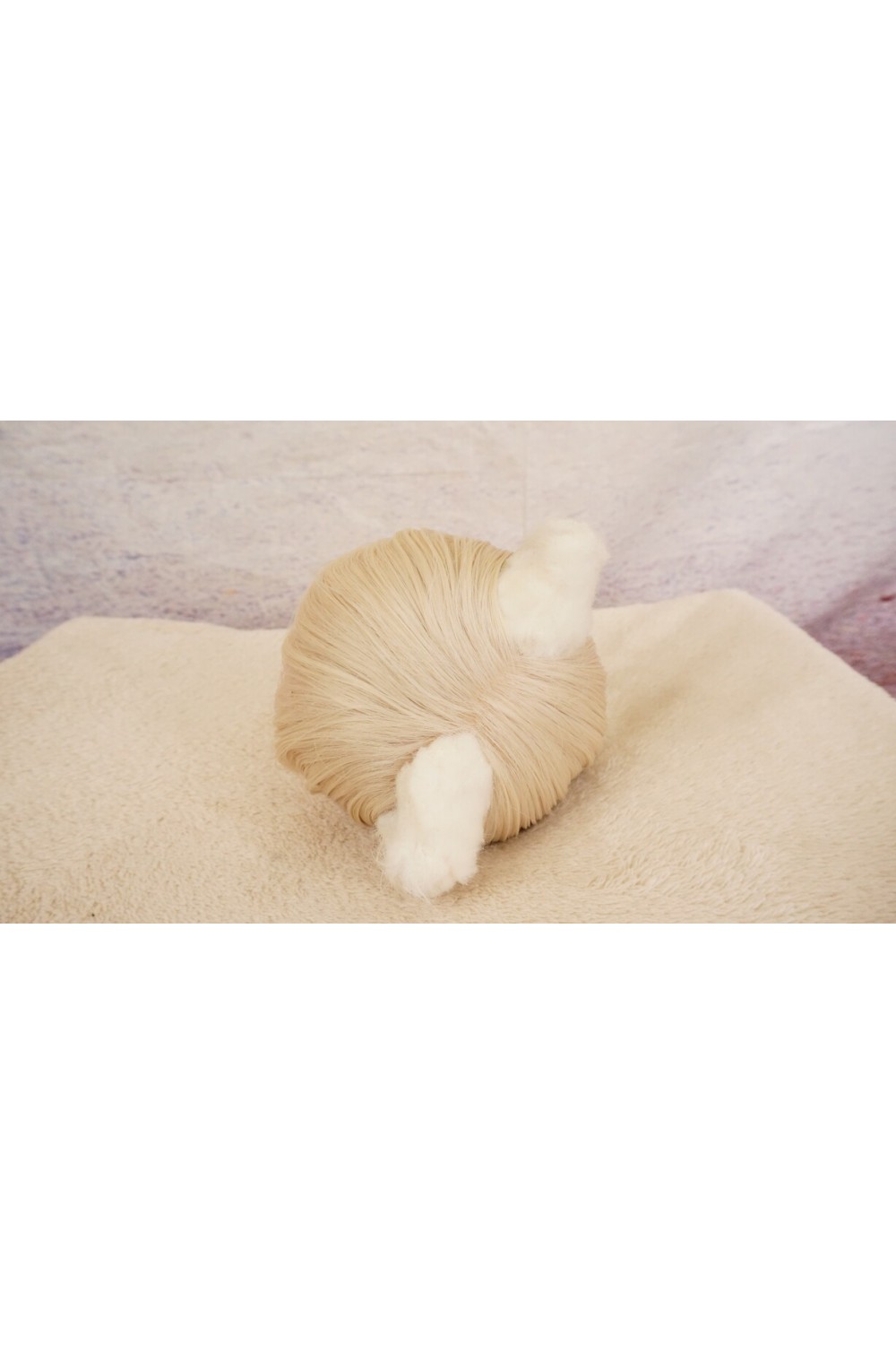 【中古】【O新古超美品】DollHouse168 色気美人 #ネコ娘 髪の毛の植毛OP シリコンヘッド単品(90〜95cm推奨)(白髪)