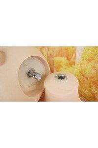 【中古】【初心者応援パック 中古超美品】Bezlya #夕顔シリコンへッド (リアル口腔+口開閉機能付き)160cm Bカップ ボディのリアルメイクOP 軽量化ボディOP 【オプション多数】