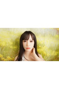 【新古超美品】True Idols #楓カレンヘッド75cm Bカップトルソー 腕付きSino工場製