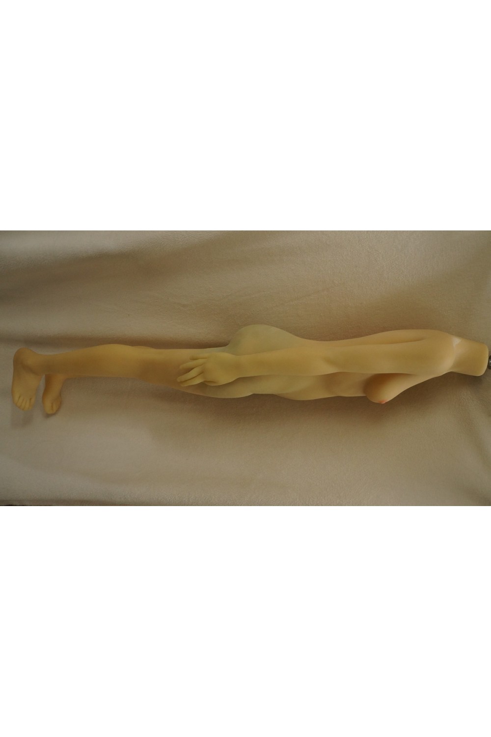 【中古】AXBDOLL #A46 momoヘッド 130cm バスト中