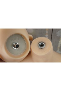 【中古美品】TPEドール ヘッド番号#43ヘッド 165㎝ Dカップ 中空胸 自立加工 新骨格 肌色 ナチュラル