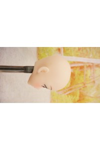 【O国内検品済 新品未使用即納品】 Butterfly Doll #Shiori Bヘッド単品 (80cm推奨)