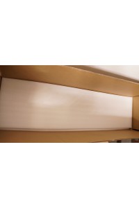【初心者応援パック 中古】Real Girl (A工場製) 157cm Fカップ ＋TPEドール#ヘッド番号不明 衣装付属 ボディ リアルメイクOP ゼリー胸 自立加工OP 視点移動 陰毛植毛OP EVO新骨格 肌色 ナチュラル