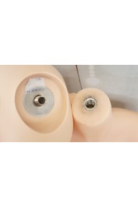 【中古】FUDOLL #8硬質シリコンヘッド136cm Acup 眉毛と睫毛の植毛 視点移動 EVO新骨格 肌色 ナチュラル