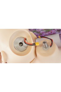 【中古】Sino Doll #23ヘッド 75cm Jカップ トルソー 腕無し