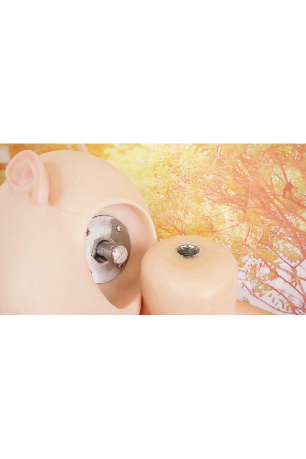 【中古】【O初心者応援パック 新古超美品ホール未使用品】アート技研(Art-doll) #A6軟質シリコンヘッド （模擬口腔+オーラル機能＋顎関節あり） 148cm Dカップ M16ジョイント汎用版