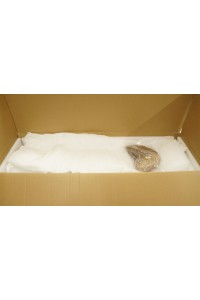 【O初心者応援パック 新品未開封品】SM Doll #12ヘッド 128cm バスト平ら