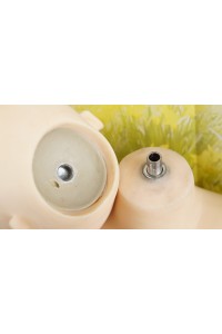 【中古】【中古美品】JY Doll #135ヘッド148cmバスト大
