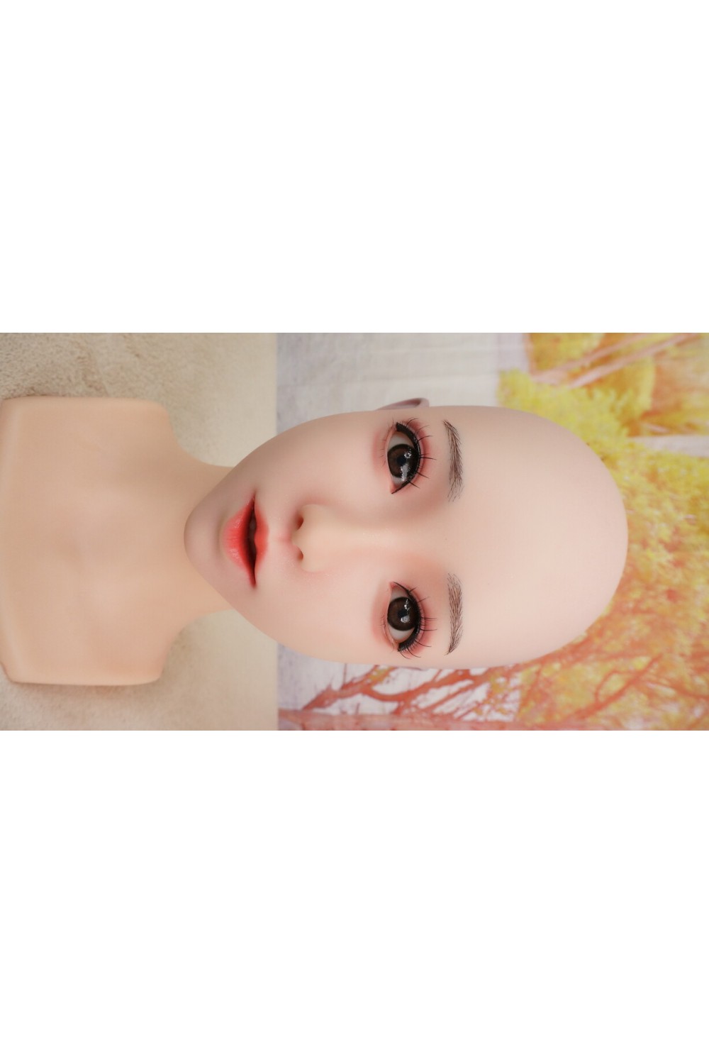 【中古】【O中古美品 ホール未使用品】SHEDOLL #洛伊(Luoyi) 軟質ヘッド「模擬口腔・オーラル機能・顎関節」あり OP 単品(152~158cm推奨)