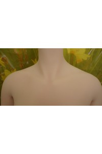 【O初心者応援パック 国内検品済 新品未使用即納品】 DollHouse168 色気美人 #ネコ娘シリコンヘッド 髪の毛の植毛 95cm Bカップ 【フルシリコン製】【生産終了モデル】