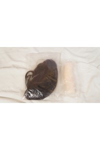 Dalinch #A9 トルソー 105cm Fカップ ゼリー胸 新骨格 肌色 ナチュラル