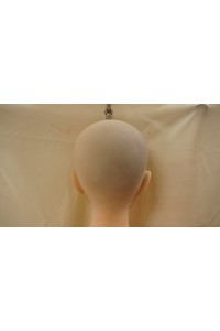 【中古】【中古】Piper Doll #Akiraヘッド 150cm 自立加工OP EVO骨格OP TPEシームレス