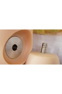 Sino Doll #S30 75cm 腕付きトルソー Bカップ 柔らか仕上げ 視点移動 新骨格 肌色 ホワイト