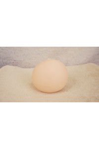 【O国内検品済 新品未使用即納品】 Butterfly Doll #リコBヘッド単品 (80cm推奨)
