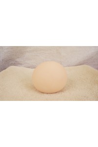 【O国内検品済 新品未使用即納品】 Butterfly Doll #リコAヘッド単品 (80cm推奨)
