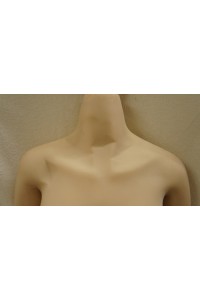 【中古】DL DOLL #S008寿美礼 ヘッド158cm