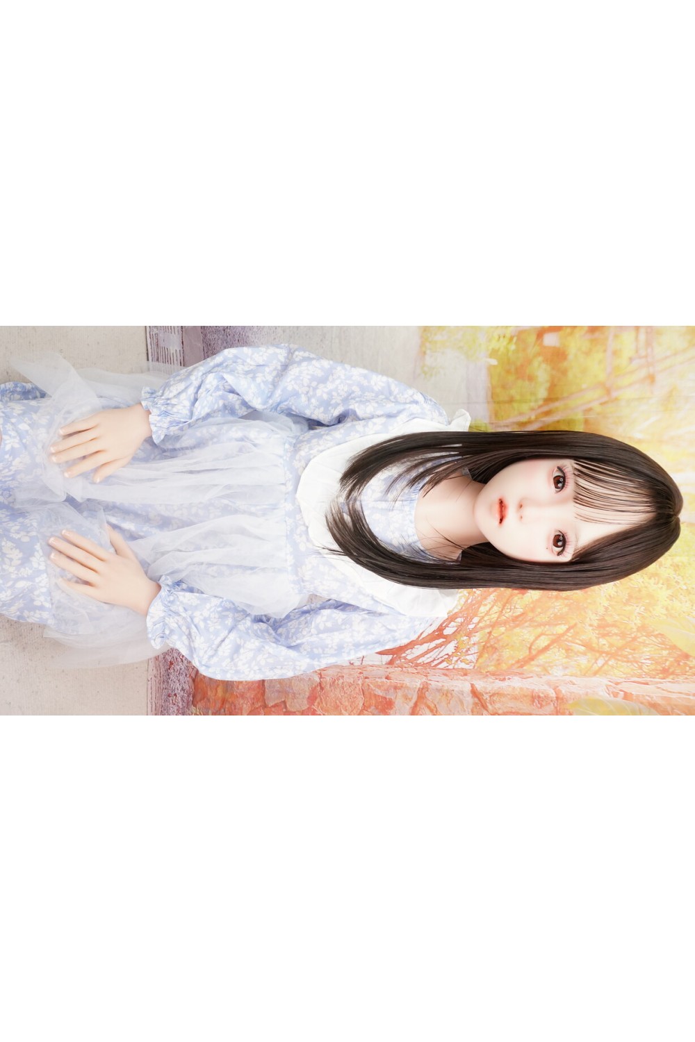 【中古】【初心者応援パック 中古美品】SHEDOLL #8 Luoxiaoyi 軟質シリコンヘッド140cm Aカップ