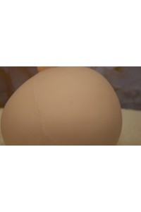 【中古】Sanhui Doll #Yukiヘッド 肌色 ナチュラル シリコンヘッド単品
