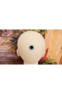 【初心者応援パック 美品】4WOODS A.I.doll 艶(あでやか)#エルヘッド159cm 衣装付属 視点移動 4Woodsオリジナル骨格