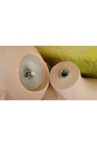 【中古】【初心者応援パック 中古超美品】FUDOLL #J001伊伊硬質シリコンヘッド 150cm Bカップ ボディのリアルメイク 【フルシリコン製】