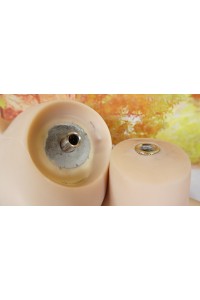 【初心者応援パック 中古】LOVESTILL 161cm Fカップ シリコンヘッド＋TPEボディ 衣装付属 中空胸 眉毛、まつ毛植毛 自立加工OP 視点移動 新骨格 肌色 ナチュラル